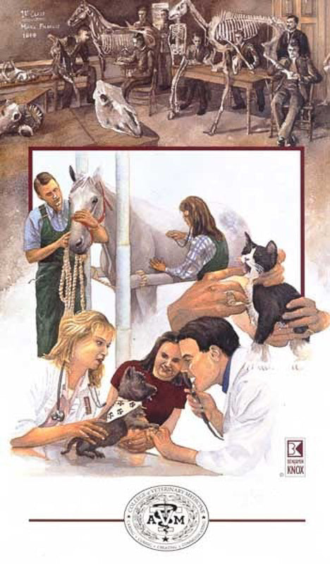 Texas A&M University - College of Veterinary Medicine