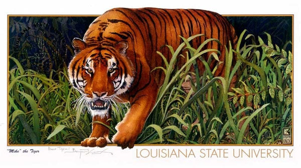 LSU National Championship - Geaux Tigers! - Benjamin Knox Gallery
